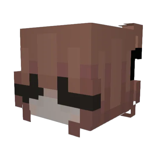 Ayukactus Minecraft avatar head, 3D render