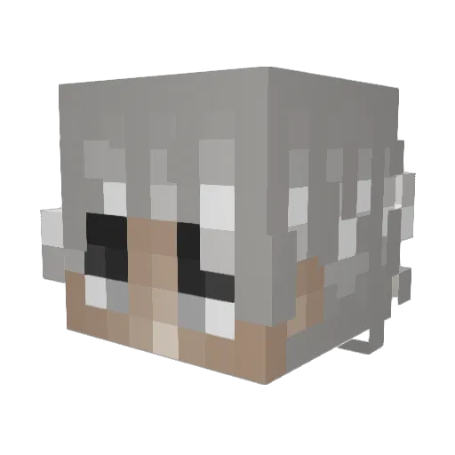 Ayurihh Minecraft avatar head, 3D render