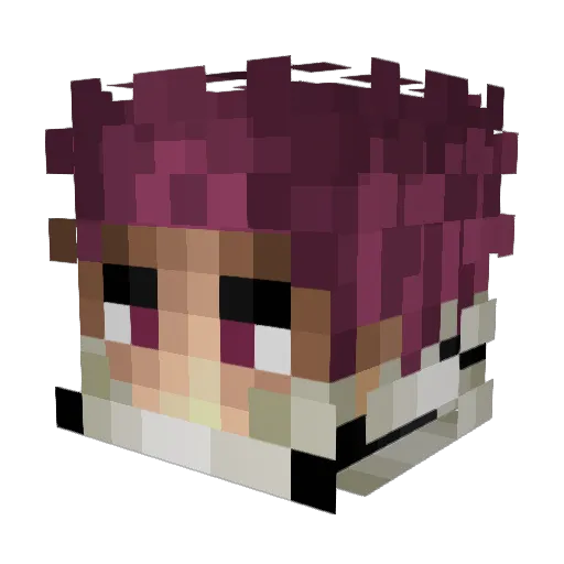 Aywerydoge Minecraft avatar head, 3D render
