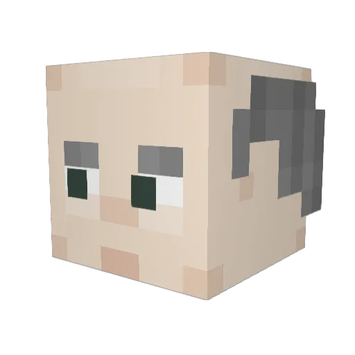 AyyLmaoooo Minecraft avatar head, 3D render