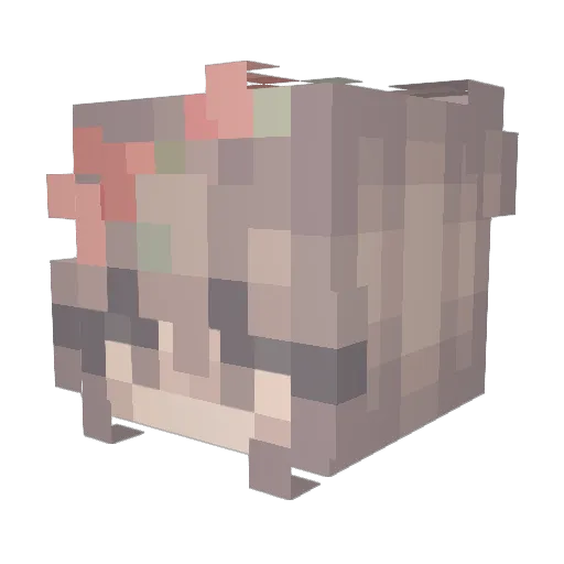 Ayy_its_Jess Minecraft avatar head, 3D render