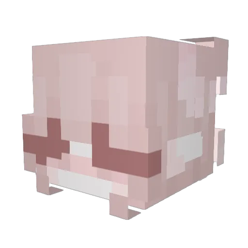 AyyePvP Minecraft avatar head, 3D render