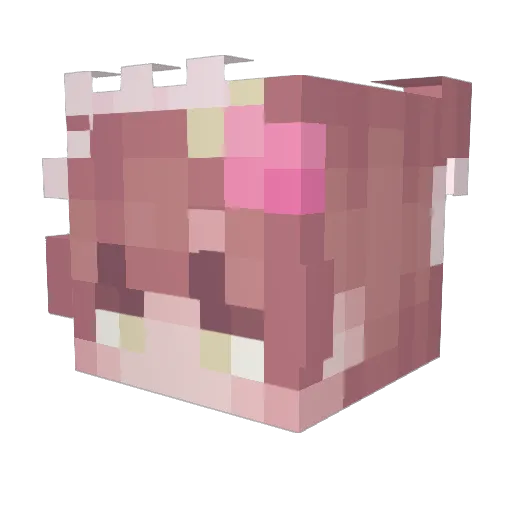 Ayyki Minecraft avatar head, 3D render