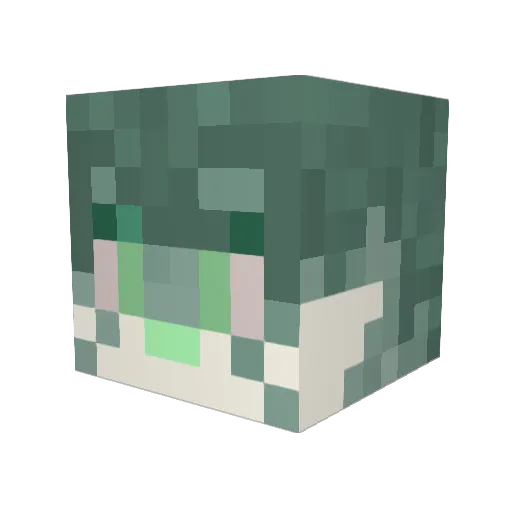 Ayyl1en Minecraft avatar head, 3D render