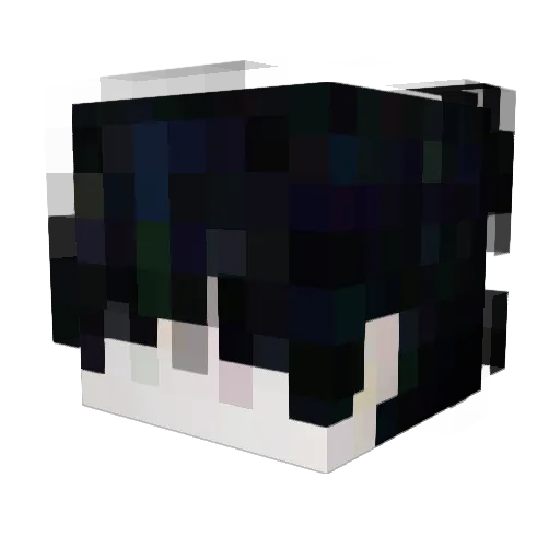 Ayynox Minecraft avatar head, 3D render