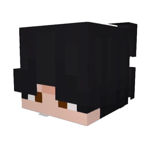 Ayyve_ Minecraft avatar head, 3D render
