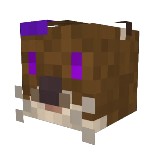 Az_lutra Minecraft avatar head, 3D render