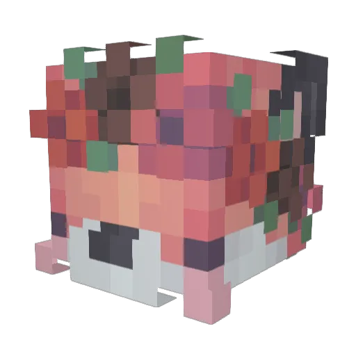 Az_z_ Minecraft avatar head, 3D render