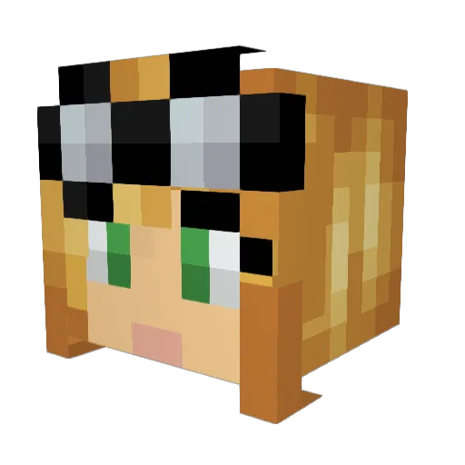 AzaleaFae Minecraft avatar head, 3D render