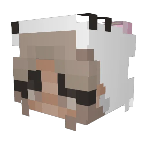 Azaleax_ Minecraft avatar head, 3D render