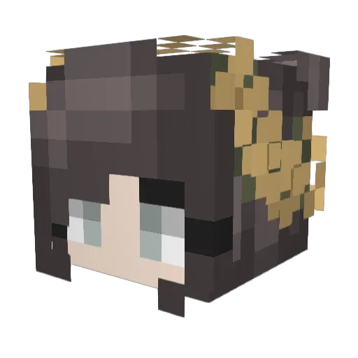 Azaran_ Minecraft avatar head, 3D render
