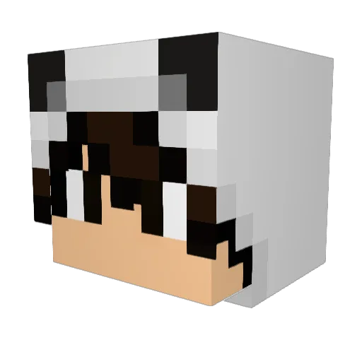 Aze404 Minecraft avatar head, 3D render