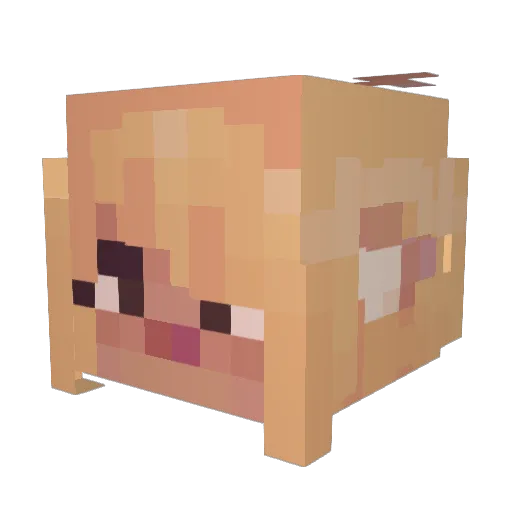 Azelf_pl Minecraft avatar head, 3D render