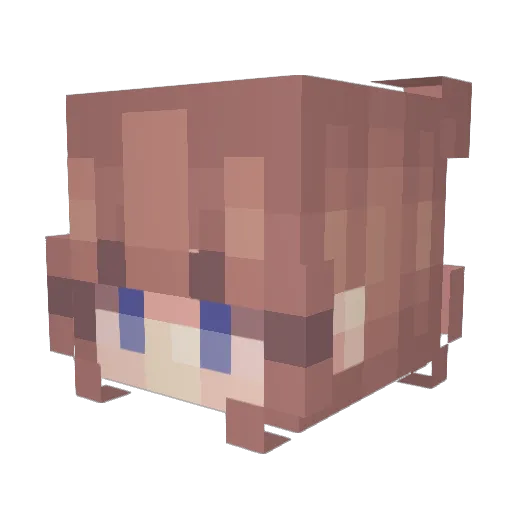 Azerlyn Minecraft avatar head, 3D render