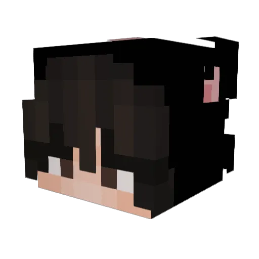 AznDman55 Minecraft avatar head, 3D render