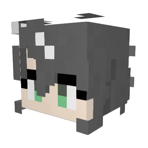 Azonda42 Minecraft avatar head, 3D render
