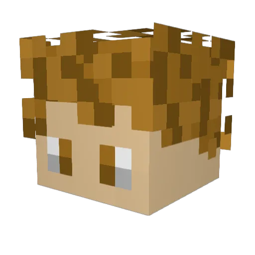AzraelTheFallen9 Minecraft avatar head, 3D render