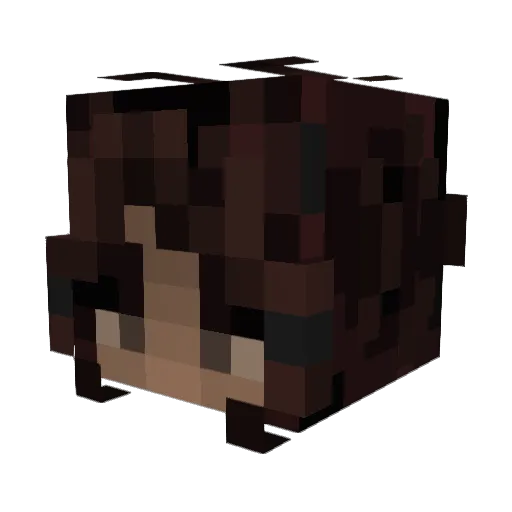 Azrenn_ Minecraft avatar head, 3D render
