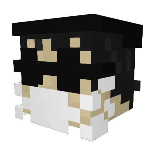 Azuli7122 Minecraft avatar head, 3D render
