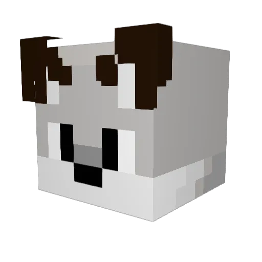 Azura_XV Minecraft avatar head, 3D render