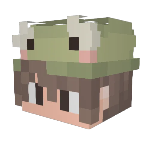 AzureTortoise Minecraft avatar head, 3D render