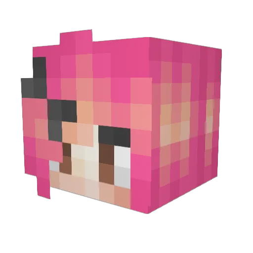 B00Wh0 Minecraft avatar head, 3D render