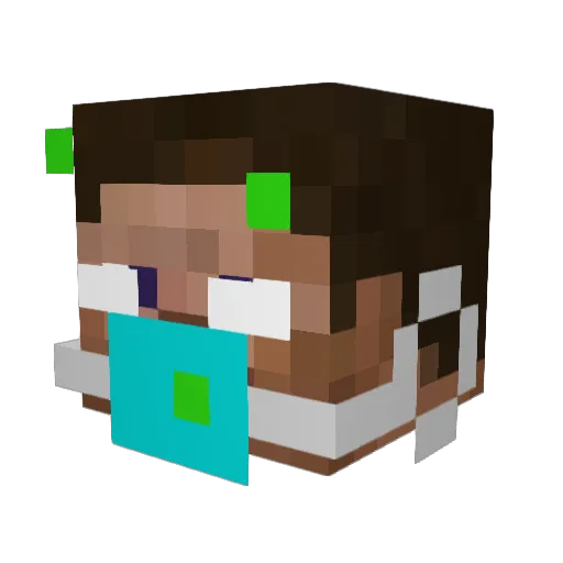B00p3rd00p3r Minecraft avatar head, 3D render
