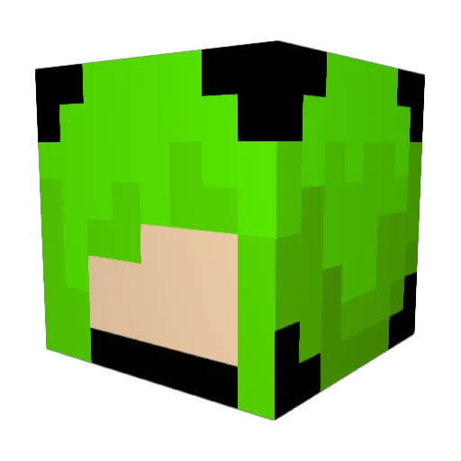 B0NGHITBILL Minecraft avatar head, 3D render