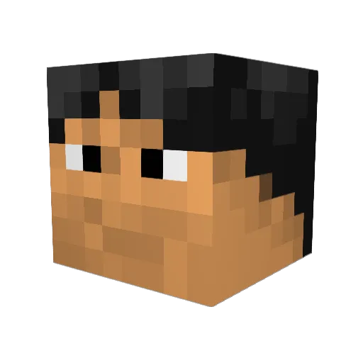 B0RC0D10 Minecraft avatar head, 3D render