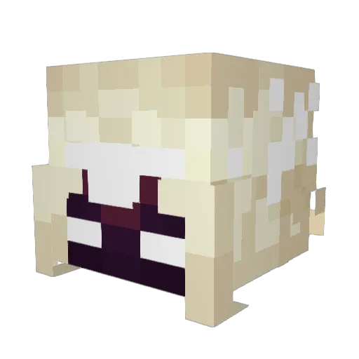 B0RIS_GUY Minecraft avatar head, 3D render