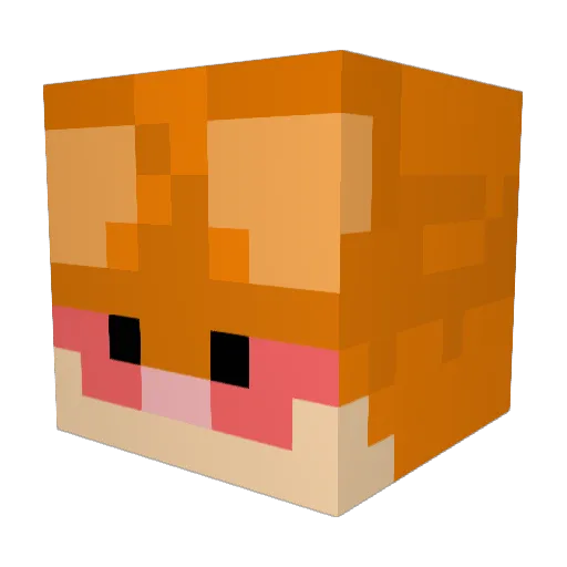 B0Y_CRIMPIN Minecraft avatar head, 3D render