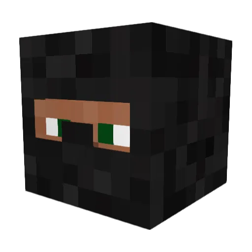 B0_ss Minecraft avatar head, 3D render