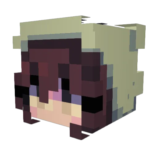 B0_t Minecraft avatar head, 3D render