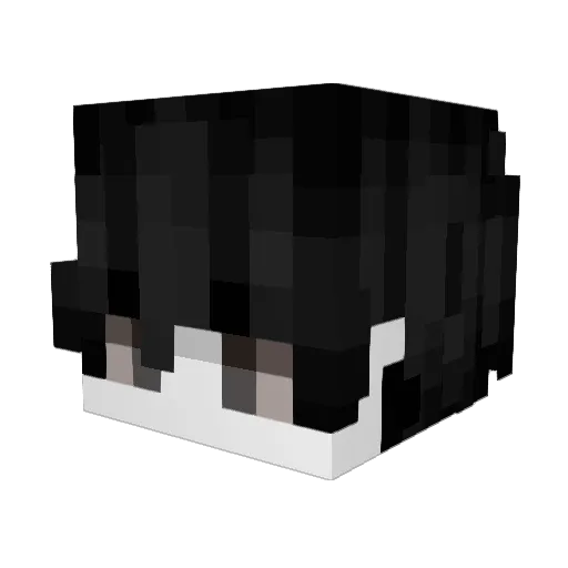 B0bina0r Minecraft avatar head, 3D render