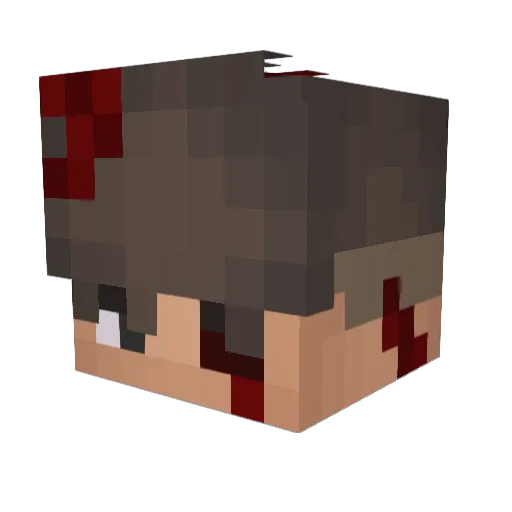 B0ji47 Minecraft avatar head, 3D render