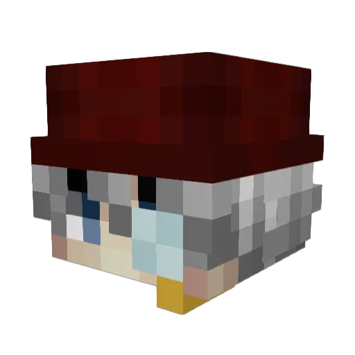 B0okWorm Minecraft avatar head, 3D render
