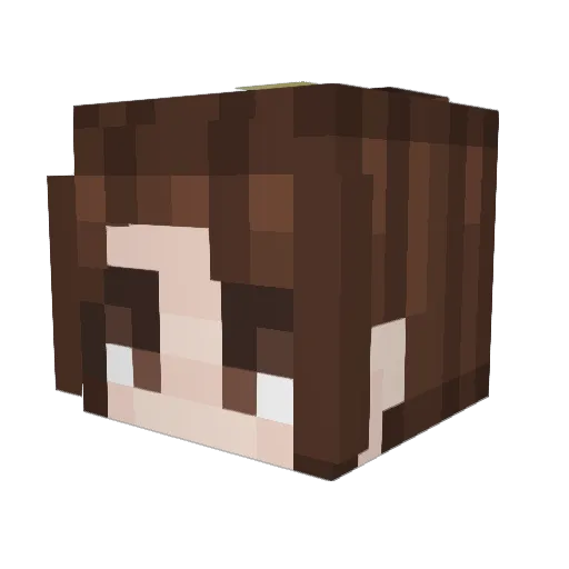 B0rjaGz Minecraft avatar head, 3D render