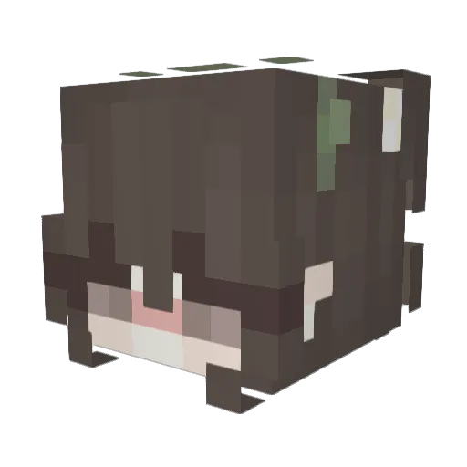 B0wDown Minecraft avatar head, 3D render