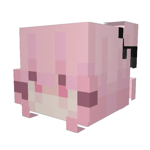 B11_ Minecraft avatar head, 3D render