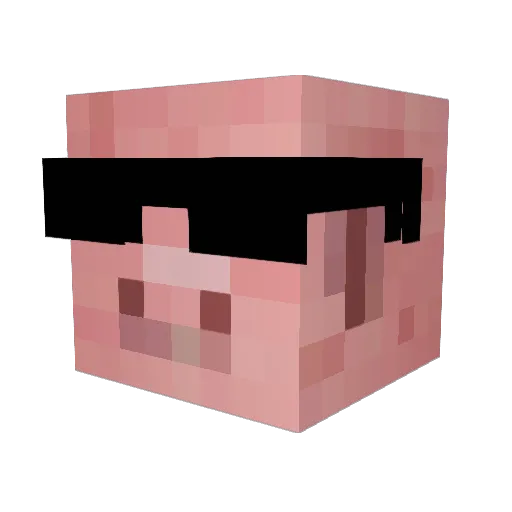 B123RANDOM Minecraft avatar head, 3D render
