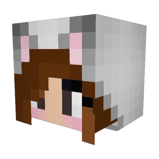 B14ckWolf Minecraft avatar head, 3D render