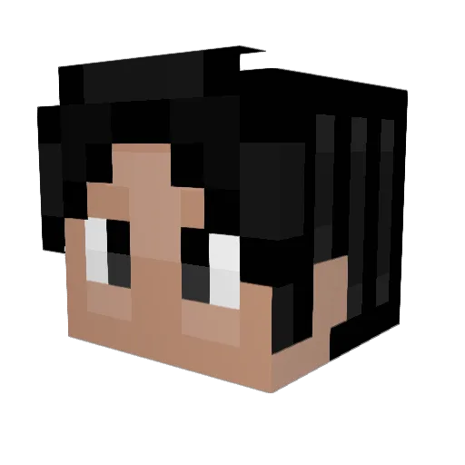 B1B939 Minecraft avatar head, 3D render