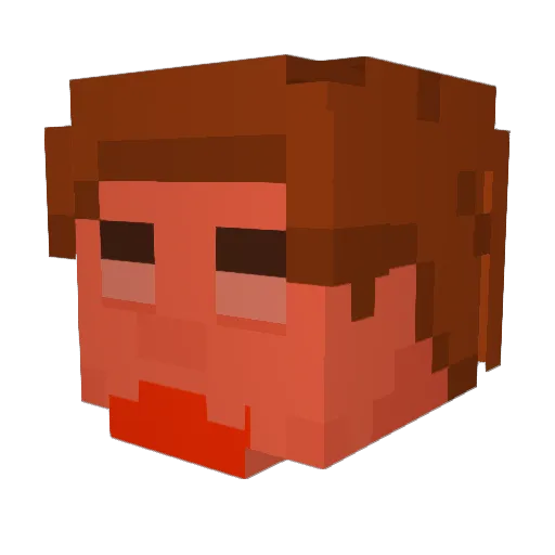 B1G_NOOB Minecraft avatar head, 3D render
