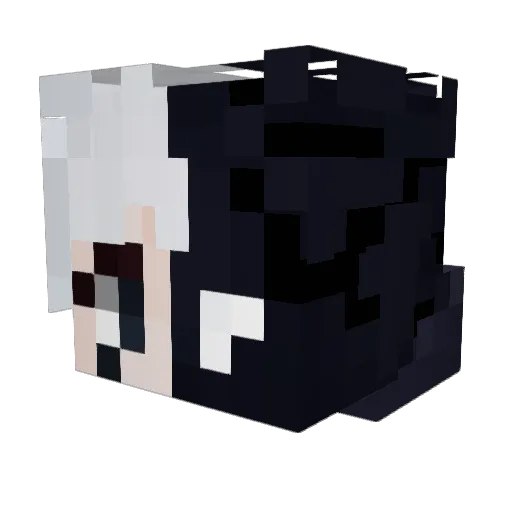 B1KSHADOW Minecraft avatar head, 3D render