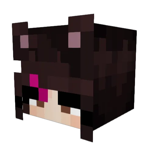 B1NKN3Y Minecraft avatar head, 3D render