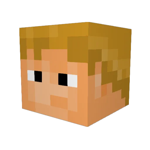 B1RDTP Minecraft avatar head, 3D render
