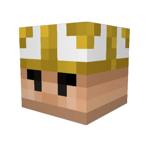 B1SH0P__ Minecraft avatar head, 3D render