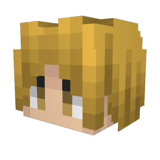 B1ackHawk2398 Minecraft avatar head, 3D render