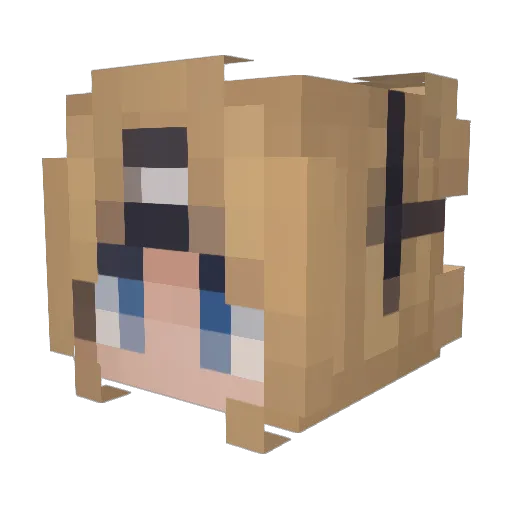B1ackf1re Minecraft avatar head, 3D render