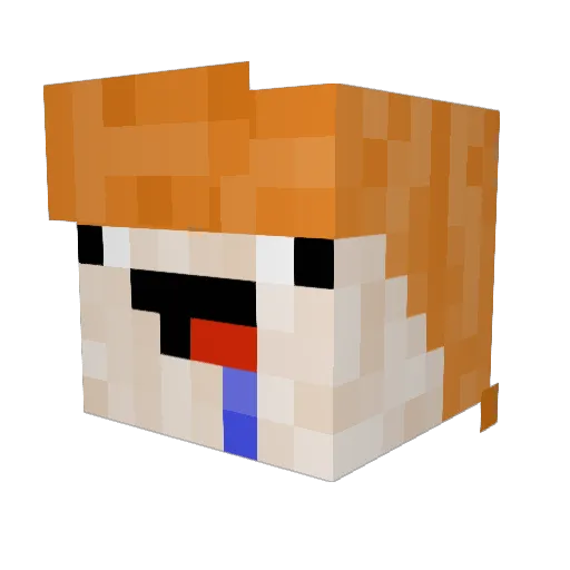 B1gBrianTime Minecraft avatar head, 3D render